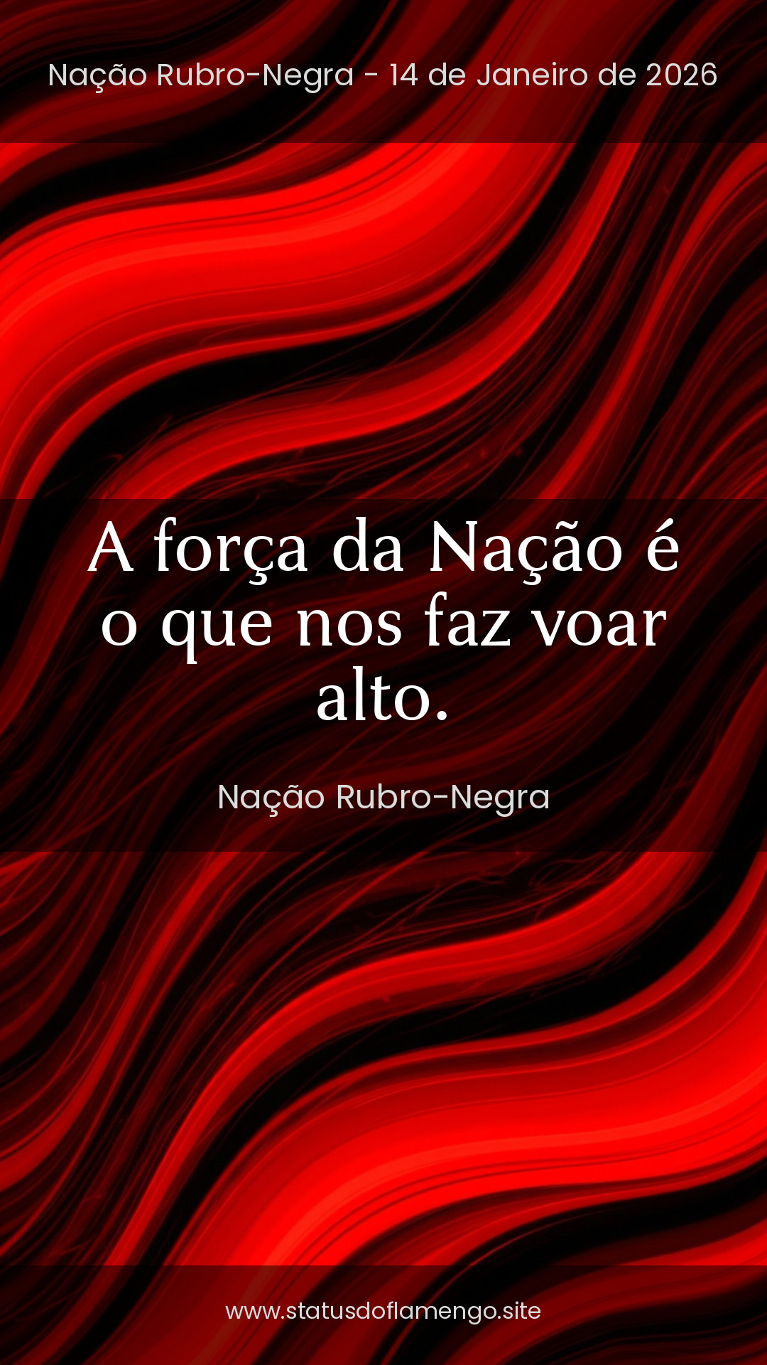 Status Flamengo
