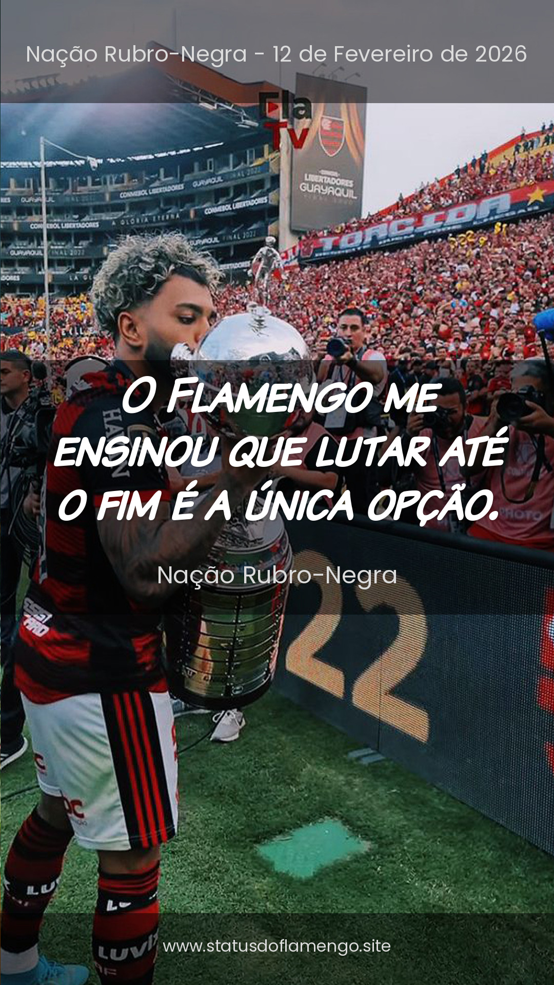 Status Flamengo