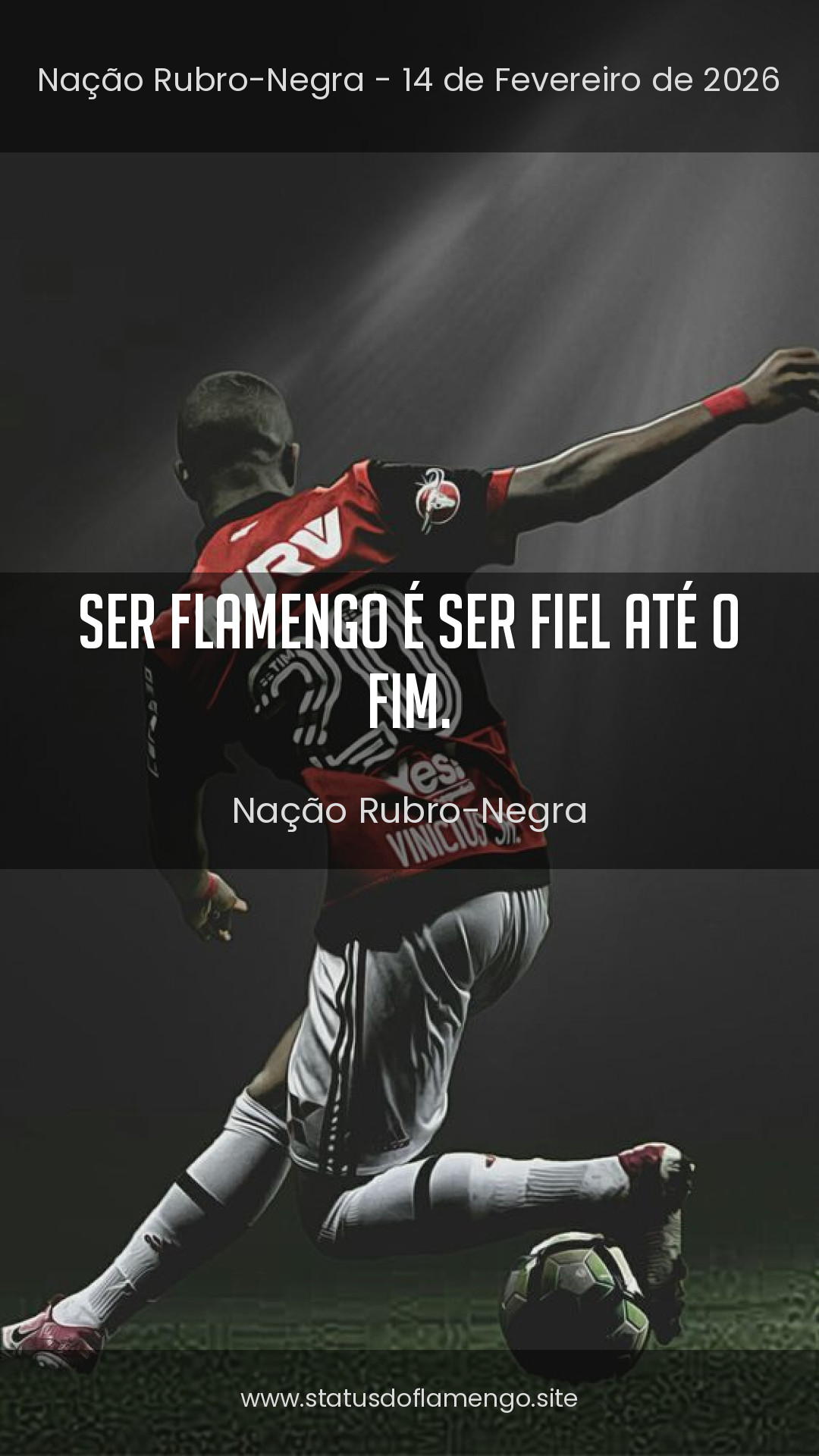 Status Flamengo