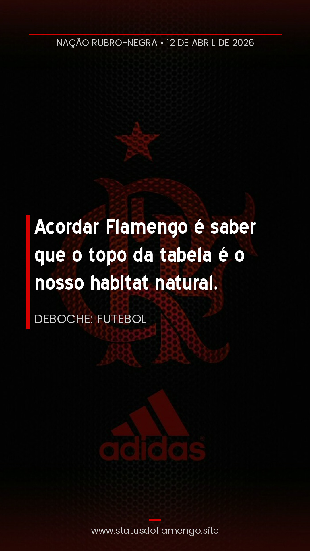 Status Flamengo